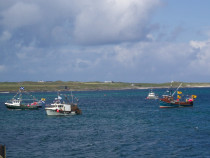Fishing Boats Fionnphort Bay Mull