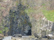 McCullochs Fossil Tree,Ardmeanach,Isle of Mull