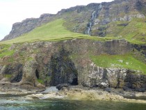 Fossil Tree Ardmeanach,Isle of Mull