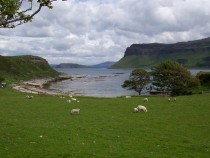 Inchkenneth Isle Isle of Mull Gribun Cliffs