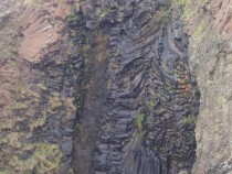 Mc Cullochs Fossil Tree burg Ardmeanach Isle of Mull