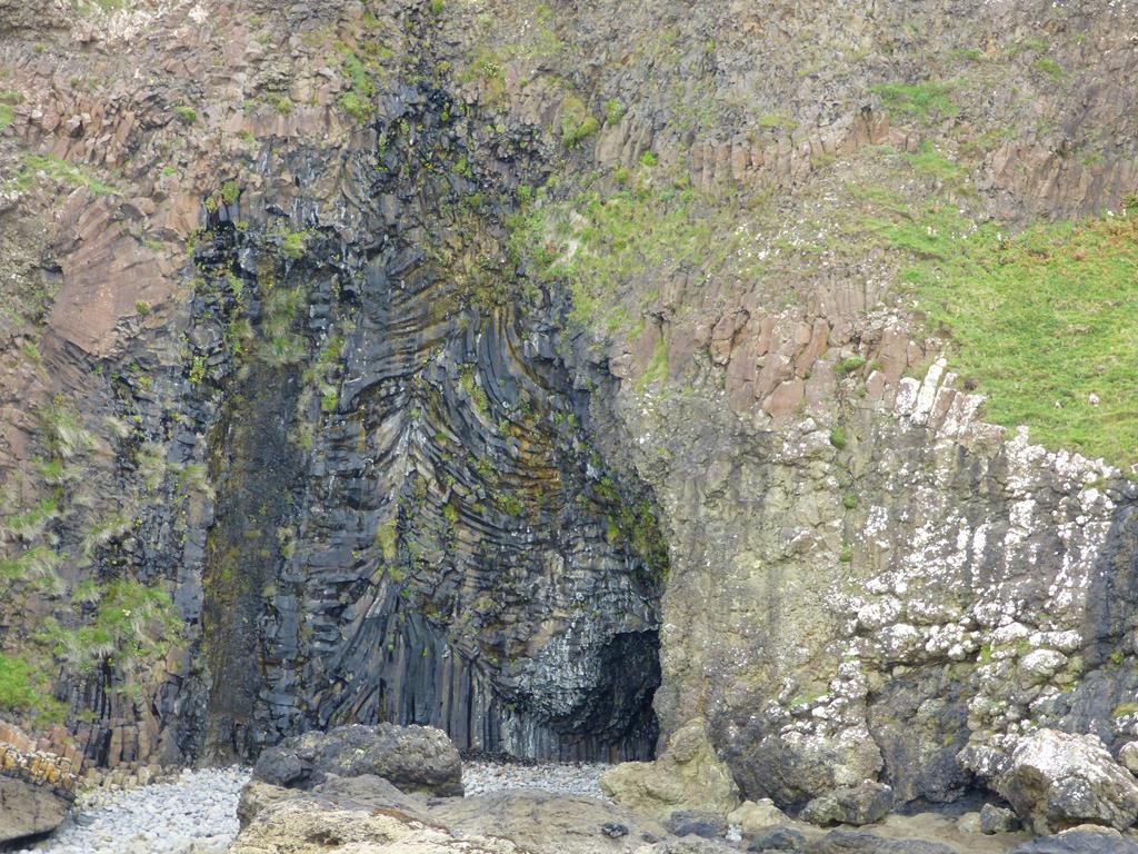 Walking,walks,Fossil Tree, Ardmeanach,Isle of Mull
